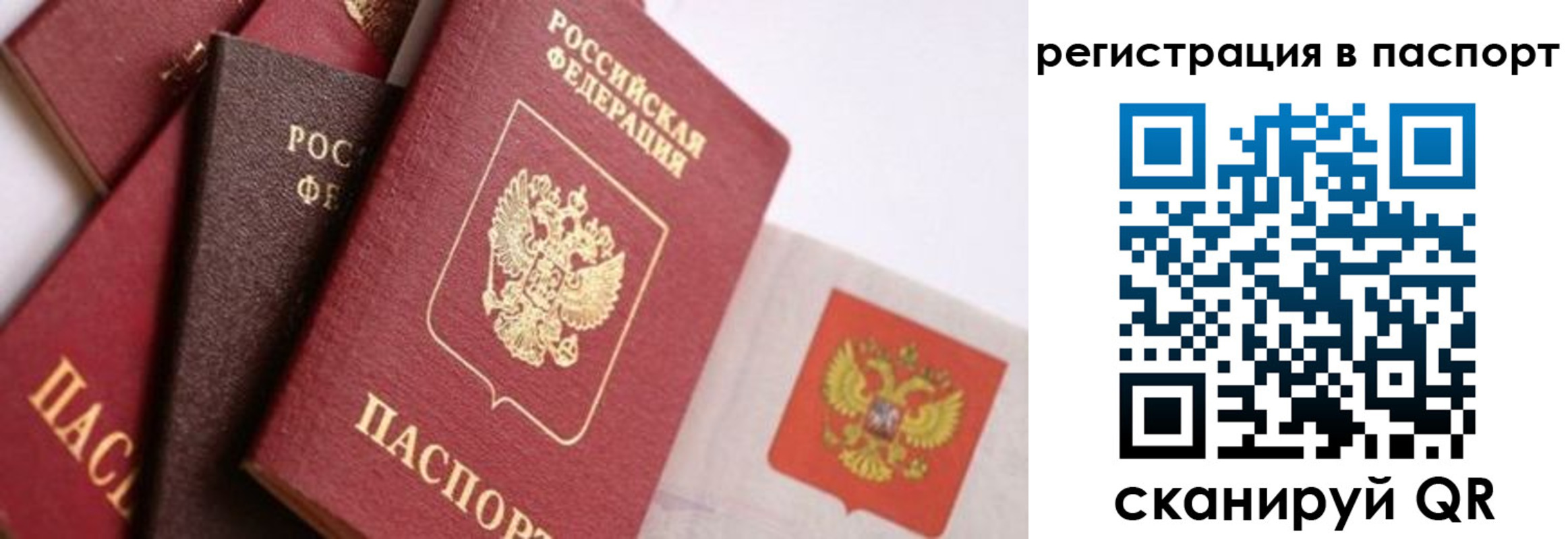 прописка в квартире в Боготоле